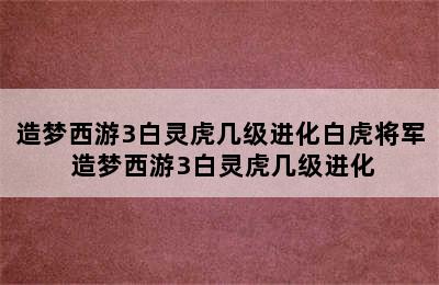 造梦西游3白灵虎几级进化白虎将军 造梦西游3白灵虎几级进化